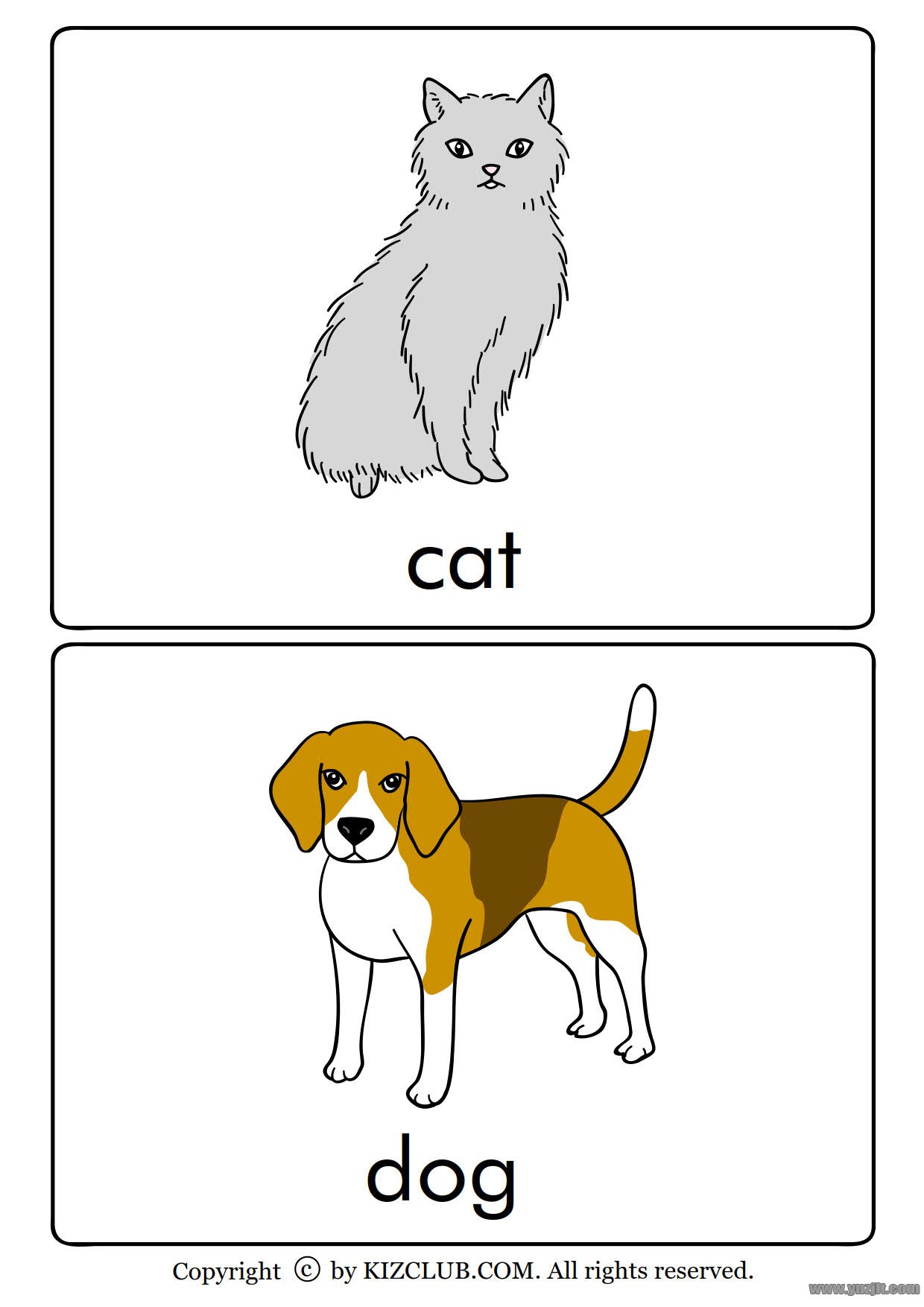 全套动物英文单词卡片高清版可打印适合孩子英语启蒙学习的有趣卡片