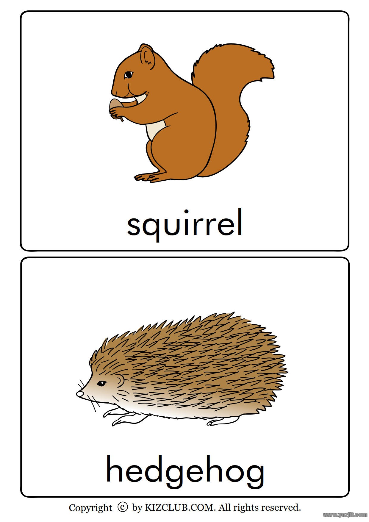 全套动物英文单词卡片高清版可打印适合孩子英语启蒙学习的有趣卡片